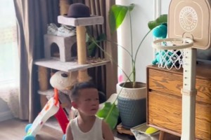 還會扣籃了！哈登點贊的2歲幼童打球 這壓腕動作太專業(yè)了啊~