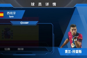 費蘭球員集錦：跑位瀟灑 射術一流的西班牙前鋒