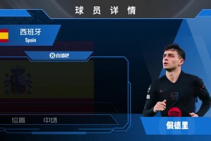 佩德里球員集錦：新生代中場的領軍人物