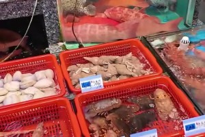 快活啊朱總！這一餐至少也得2、300吧？兄弟們