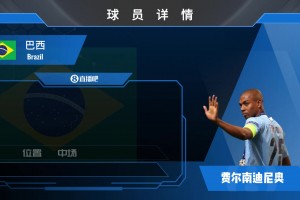 再見費(fèi)鳥!曼城功勛中場(chǎng)費(fèi)爾南迪尼奧宣布退役!欣賞下他的賽場(chǎng)瞬間